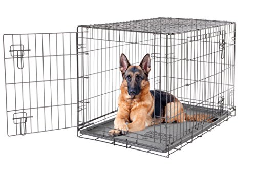 how to keep dog warm in crate at night