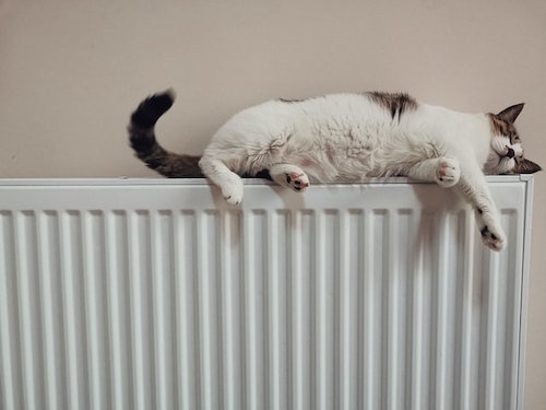 Is Central Heating Cheaper Than Electric Heating?