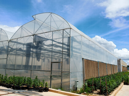 Conservatory vs Greenhouse vs Solarium